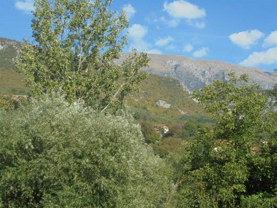 gornji_dusnik_pogled_na_planinu_original